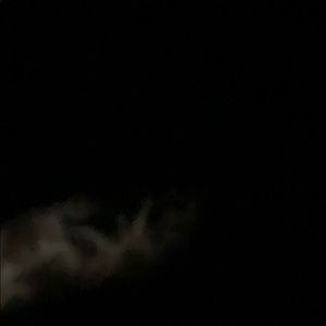 Meet your Posher, Norah